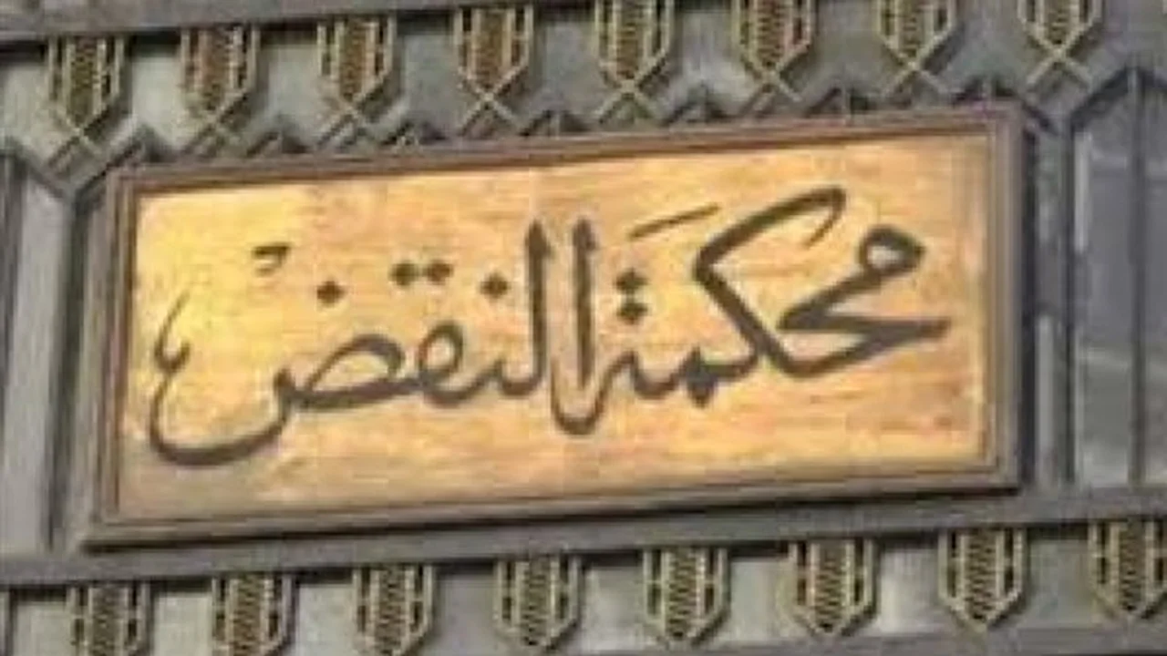 تأجيل قرار.. نقض تدرس طعن فوز قائمة من أجل مصر بغرب الدلتا